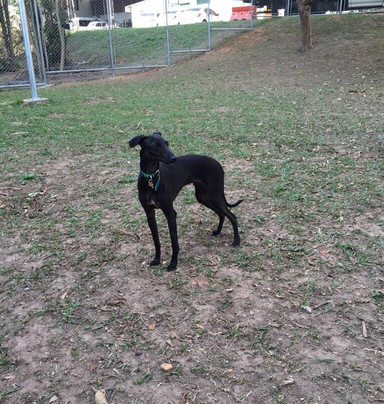 Pet Parque-Osasco必去景点