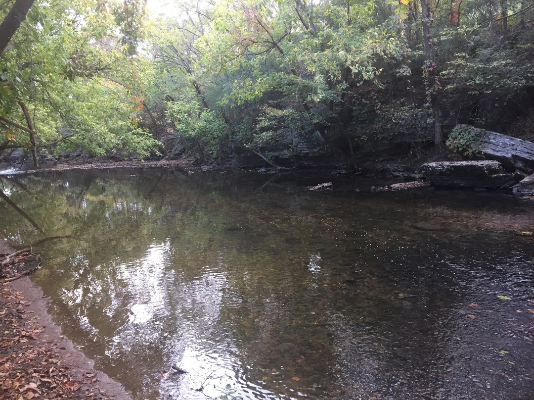 Lee Victory Recreation Park景点图片