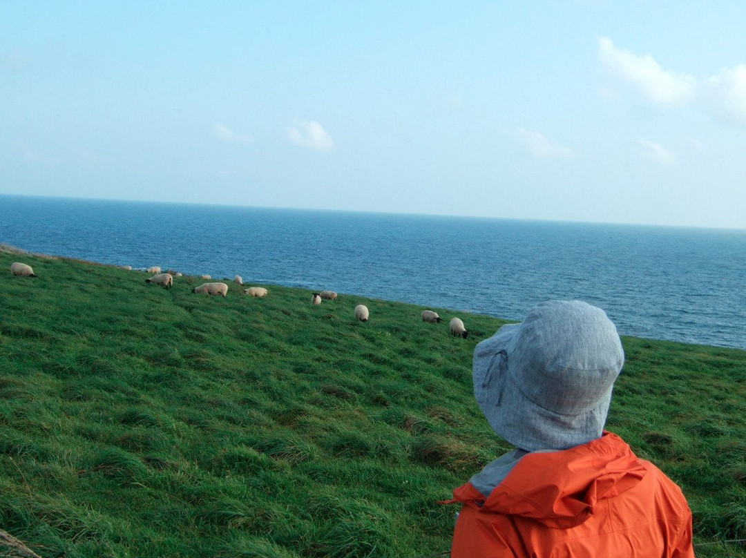 Yagishiri Menyo Bokujo-羽幌町必去景点