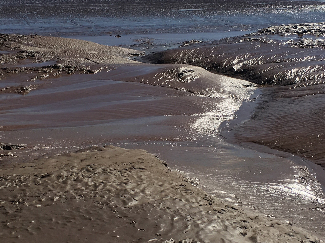 Riverfront Park-蒙古顿必去景点