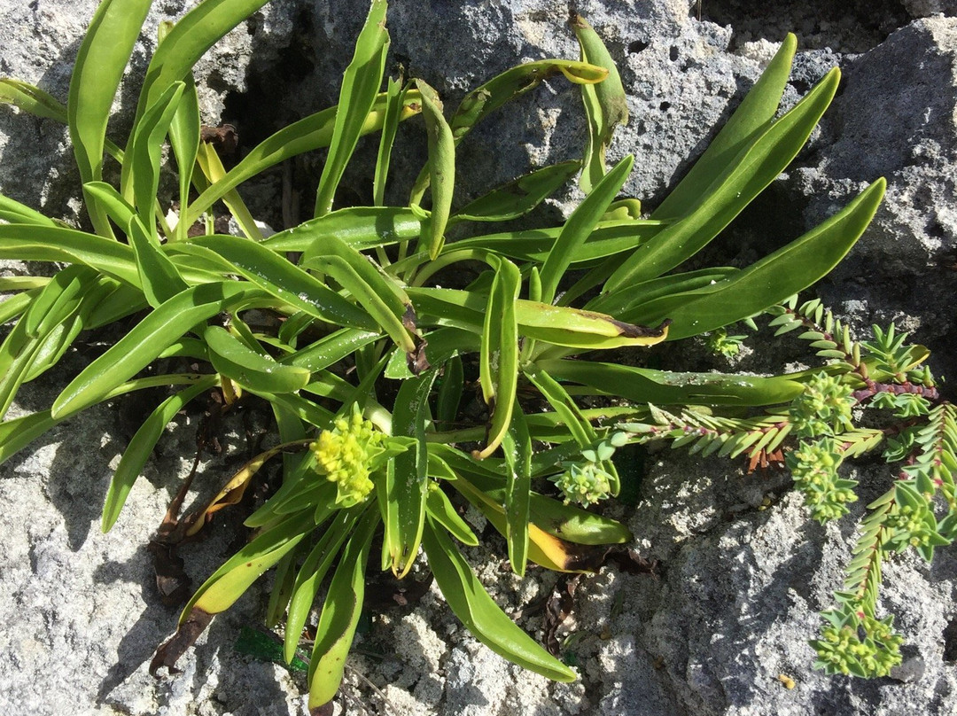 Astwood Park-Warwick Parish必去景点