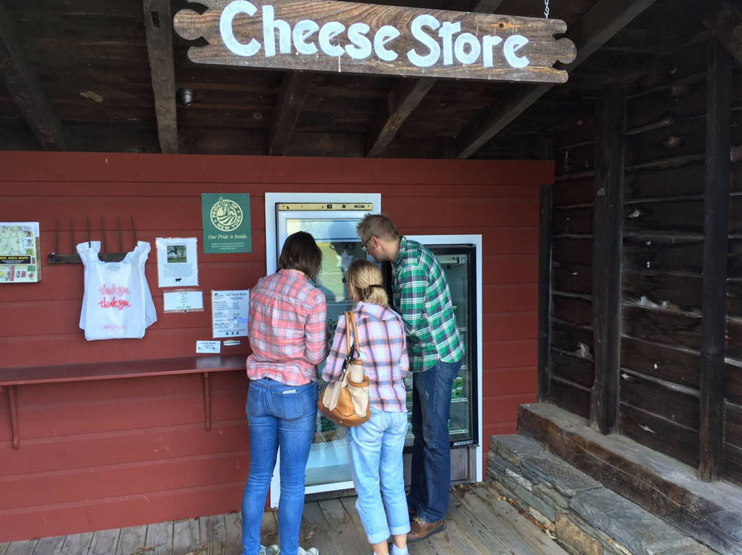 Old Chatham Sheepherding Creamery景点图片