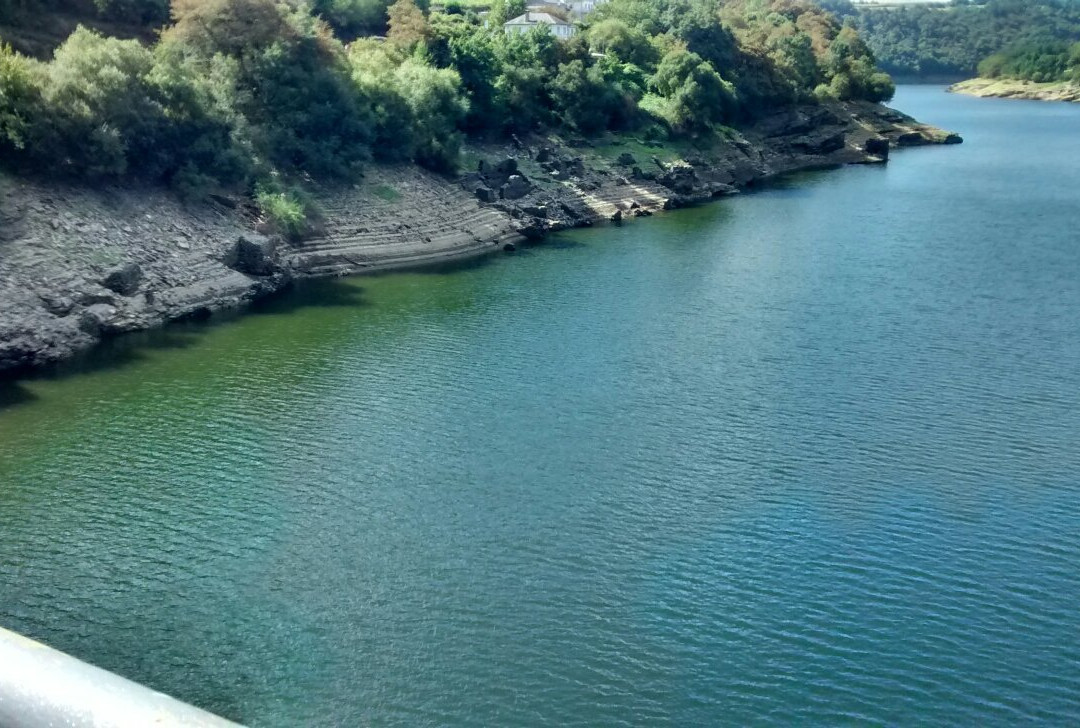 null-波尔托马林