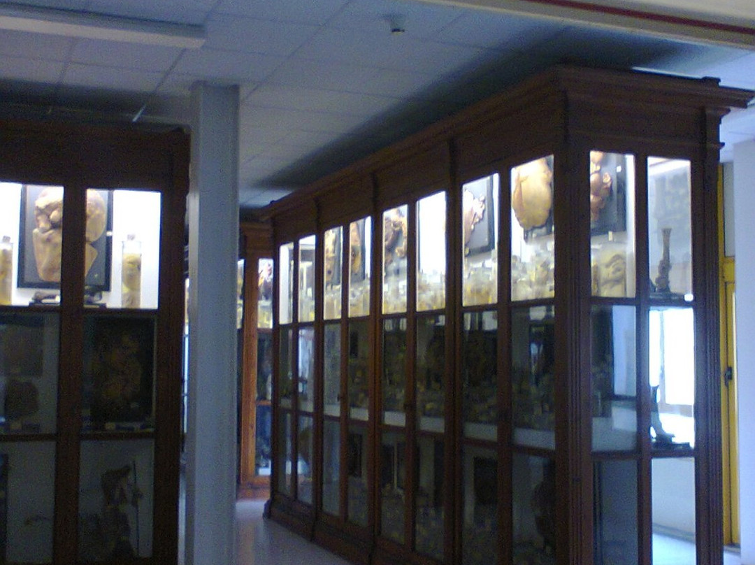 Collezione di Anatomia Patologica e Teratologia Veterinaria "Alessandrini - Ercolani"景点图片