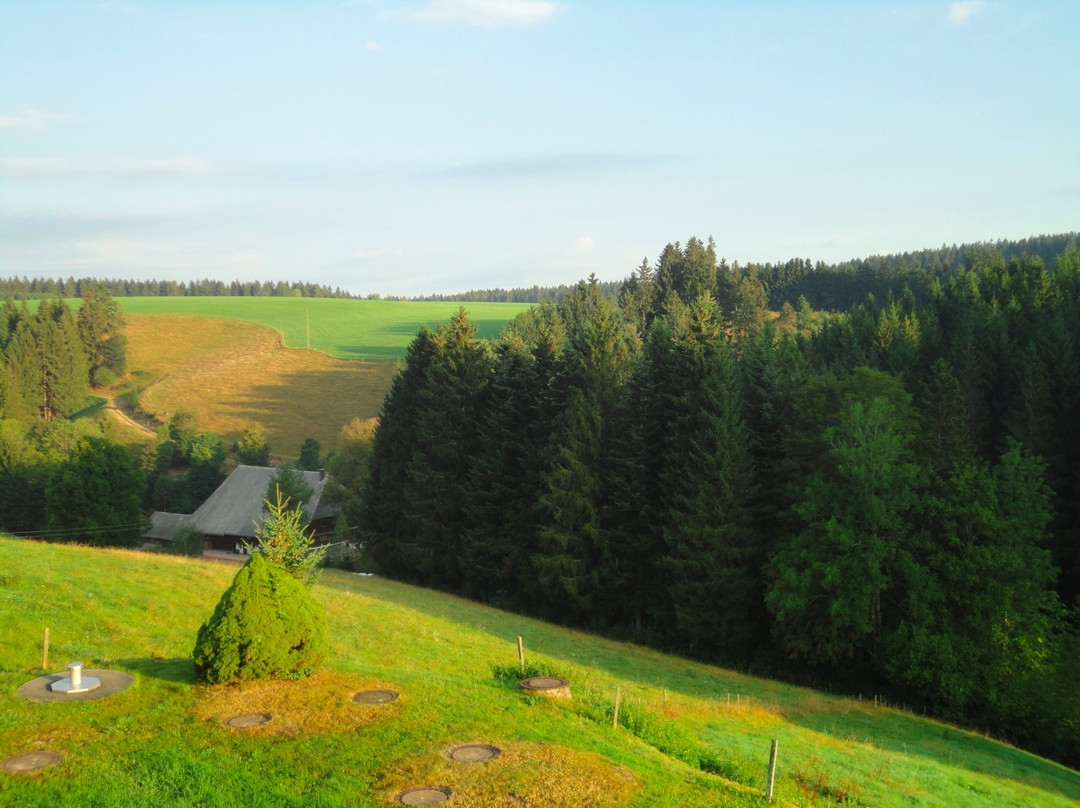 Landhotel Thalerhausle Ochsen主图