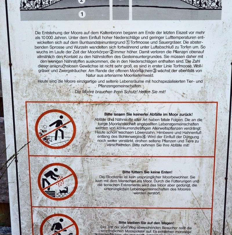 Großer Hohlohsee景点图片