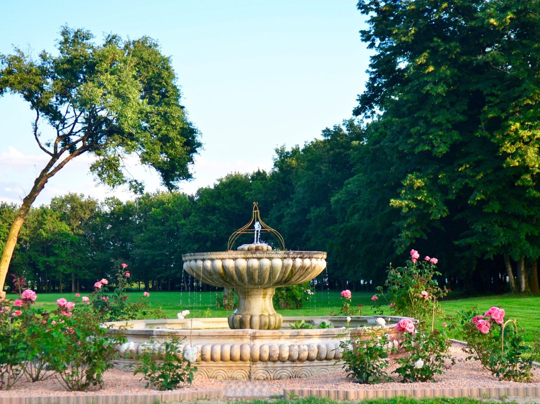 Château de Darrech主图