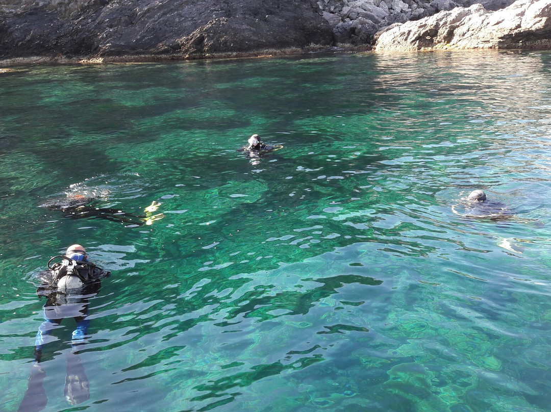 Doublejeu Plongee-Carqueiranne必去景点