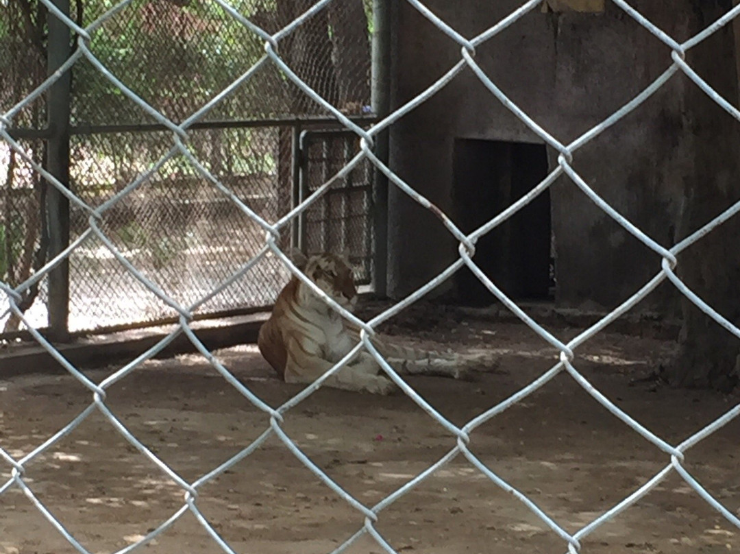 Karachi Zoo-卡拉奇必去景点