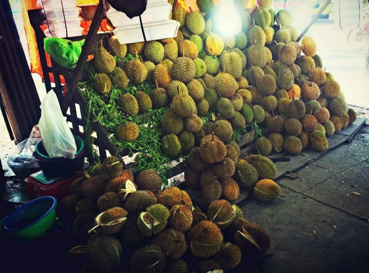 Rumah Durian Radit景点图片
