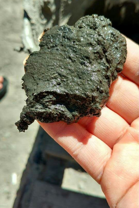 Barros Chinos-Mamina必去景点