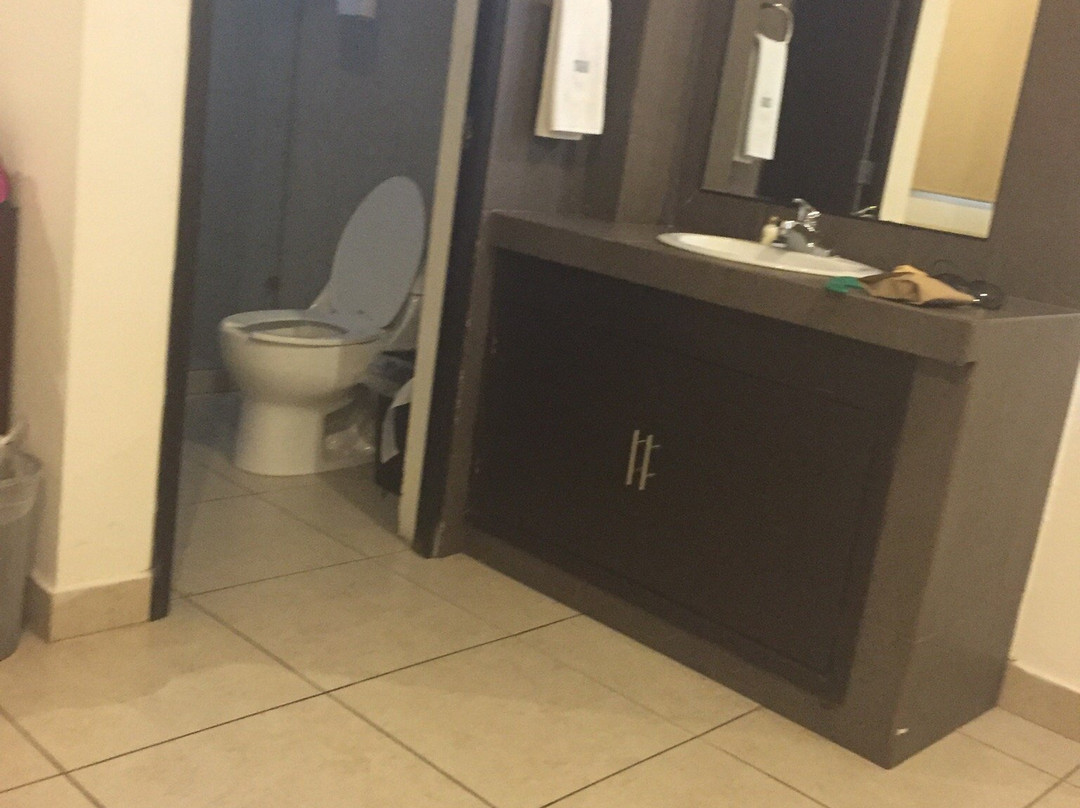 Hotel Plaza Elite主图