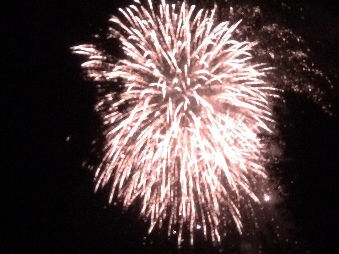 Ojiya Matsuri Fireworks-小千谷市必去景点