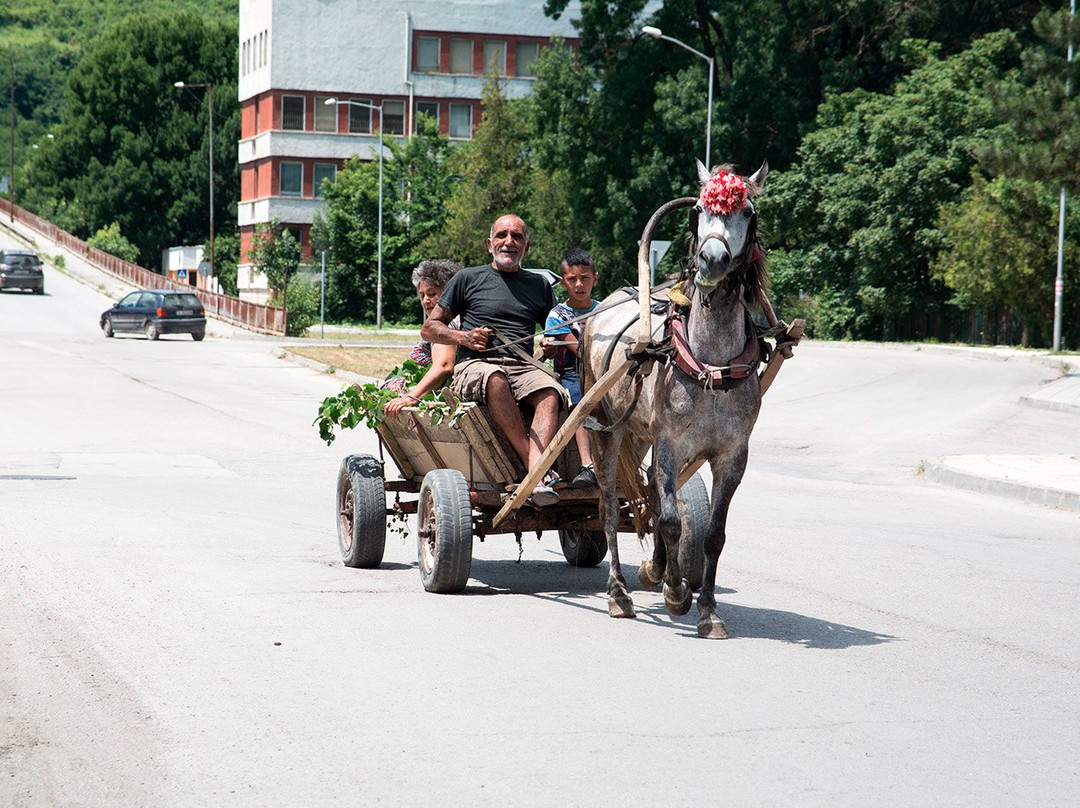 Dropla酒店住宿-Hotel Provadia
