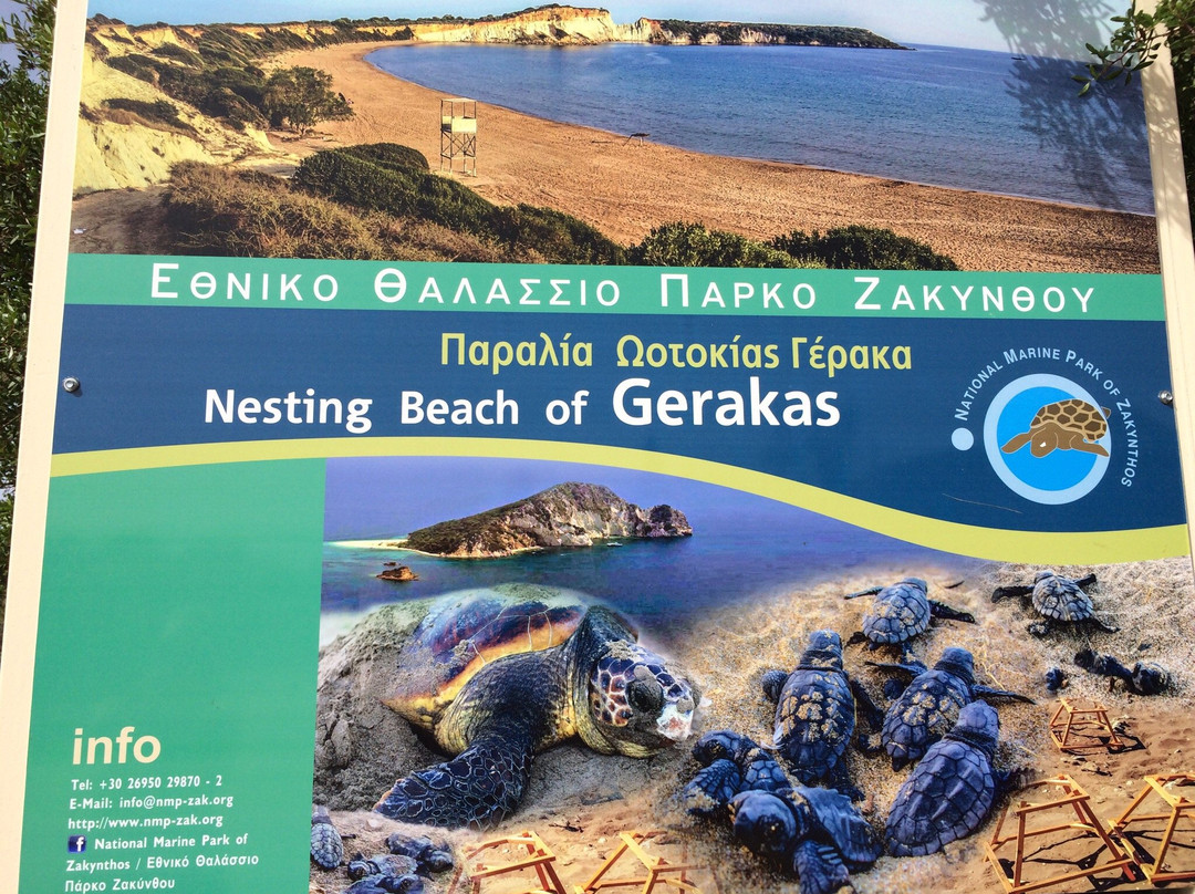 瓦西里科斯旅游景点-Zakynthos Turtle Rescue Center