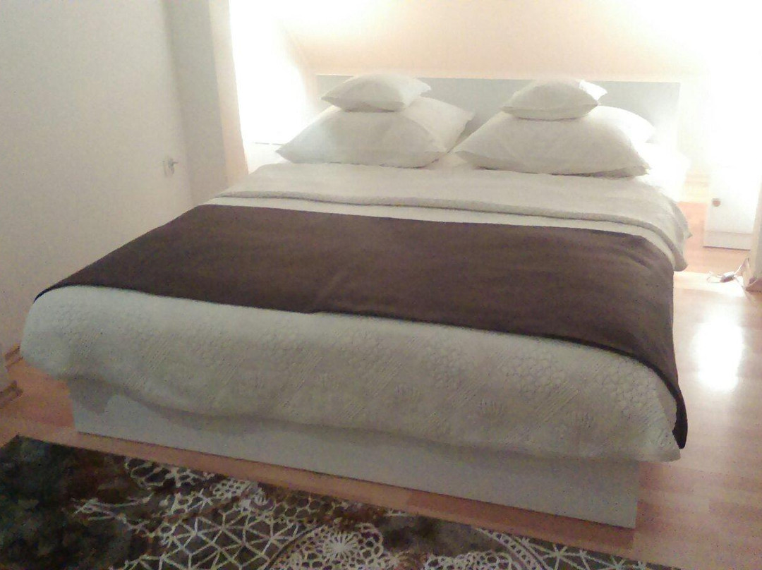 Krakowska 39 Guest Rooms主图