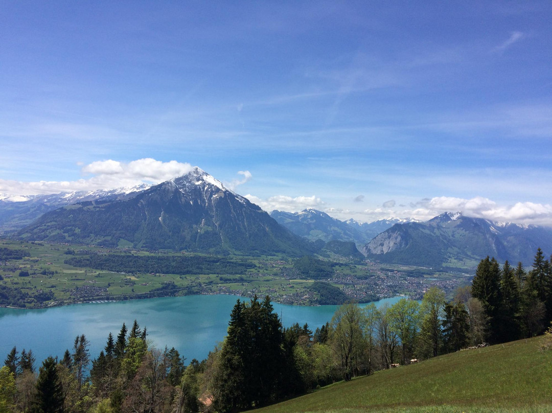 Trotti-Bike Niederhorn-贝阿滕贝格必去景点