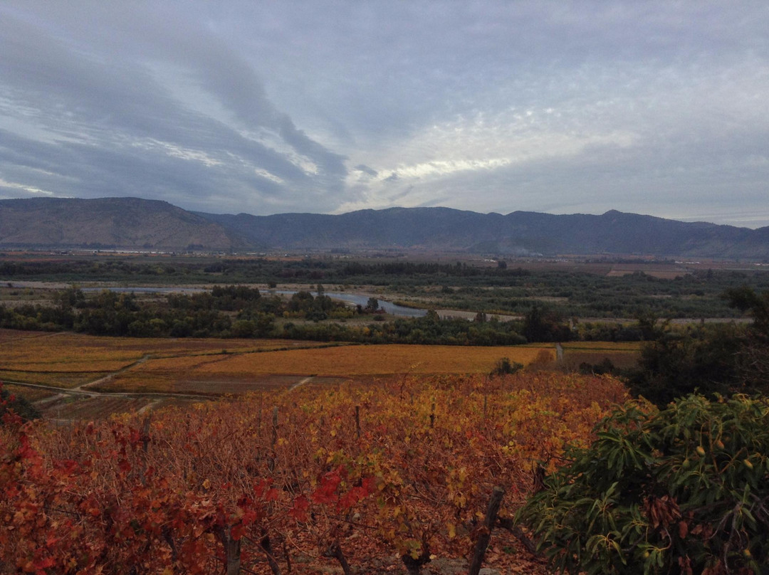 Vina Las Pitras-Curico必去景点