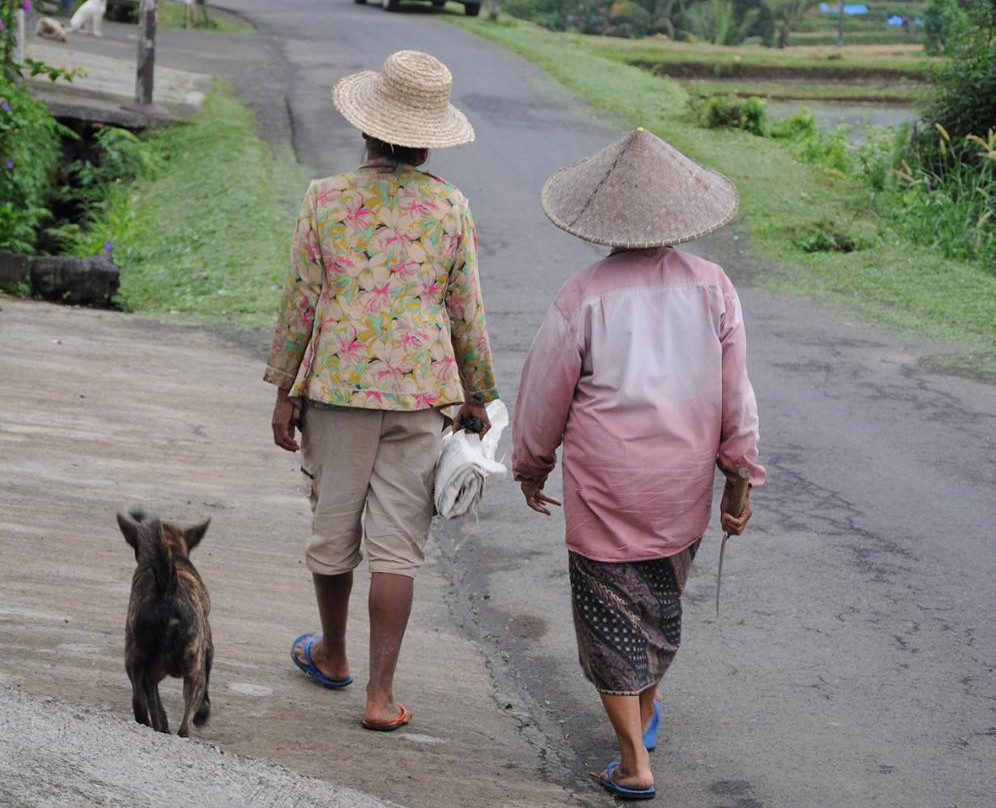 Cattra Bali - Private Tours-登巴萨必去景点