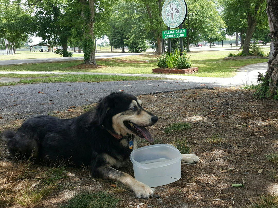 North Peach Park-Byron必去景点