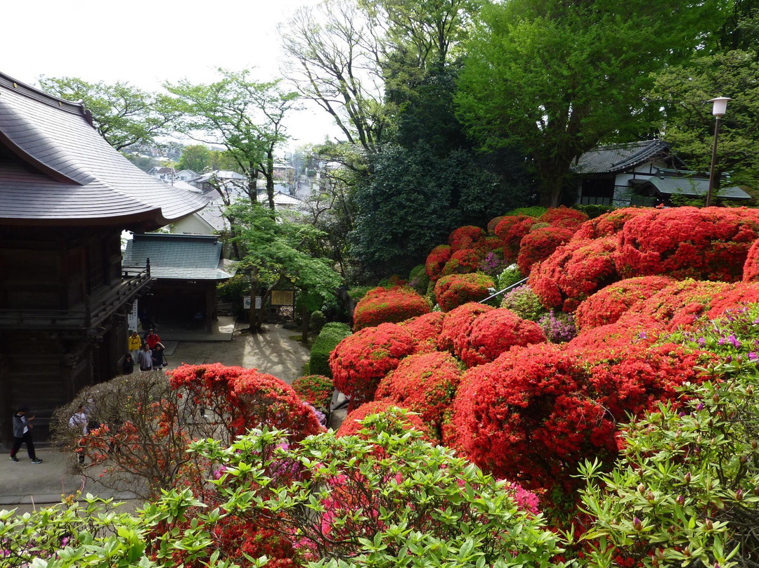 Tougakuin Temple-川崎市必去景点