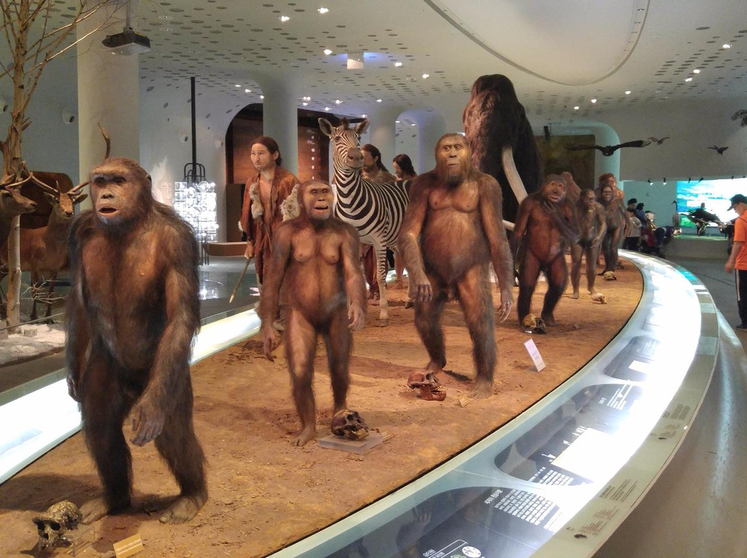 Jeongok Prehistory Museum-涟川郡必去景点