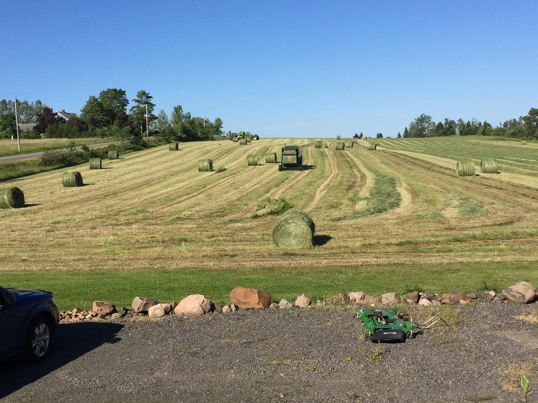 Creekside Bed & Breakfast主图