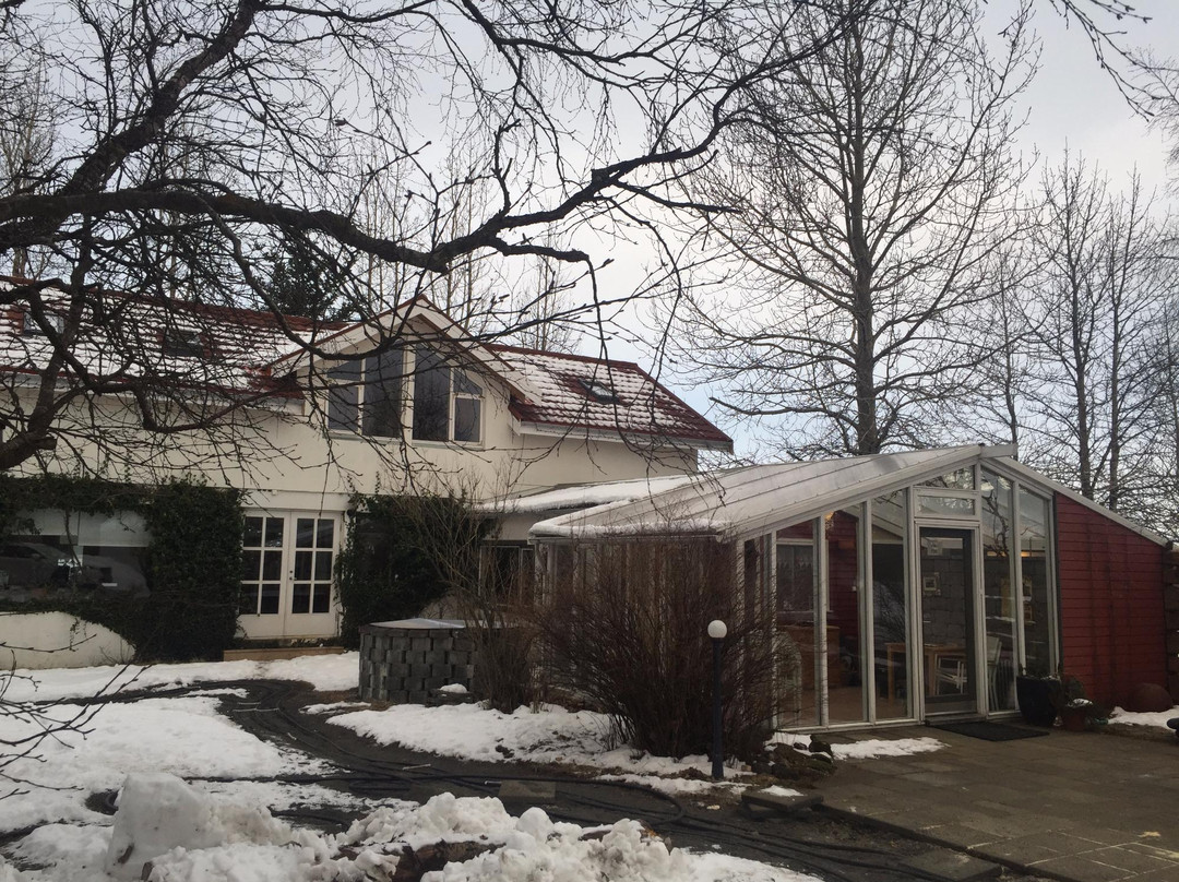 Geysir酒店住宿-Arbakki Farmhouse Lodge