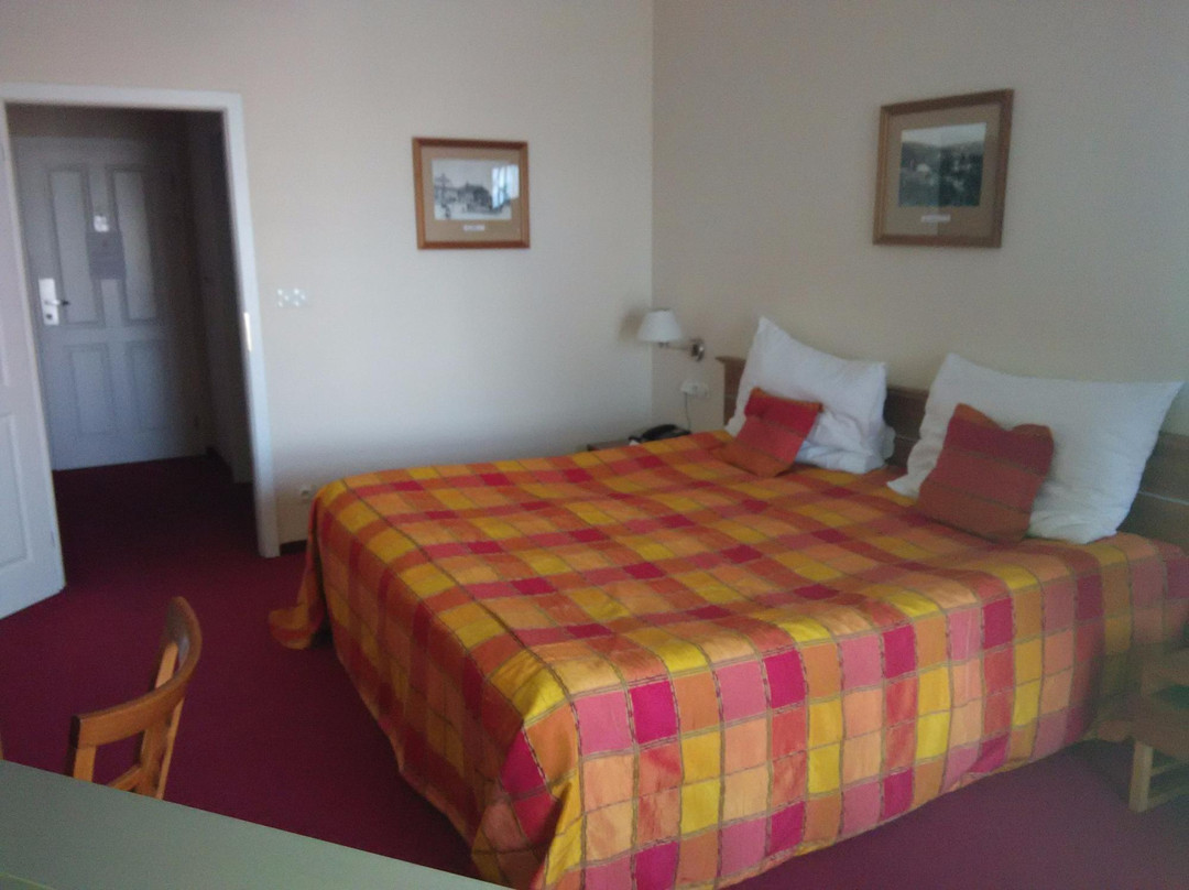 LH Hotel Dvorak Tabor Congress & Wellness主图