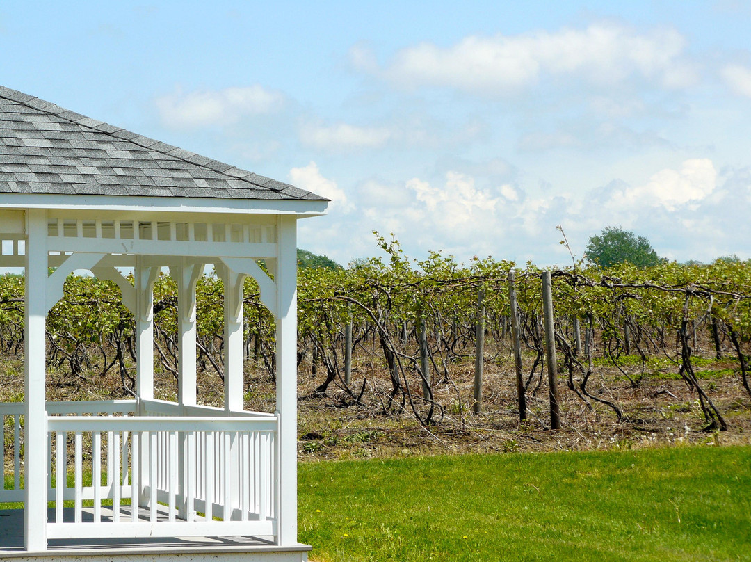 Liberty Vineyards Winery景点图片