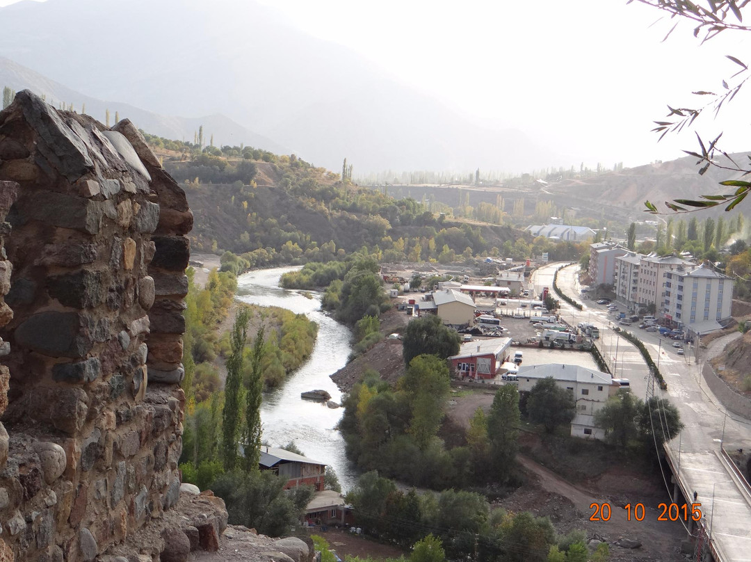 Erzurum Province旅游攻略图片