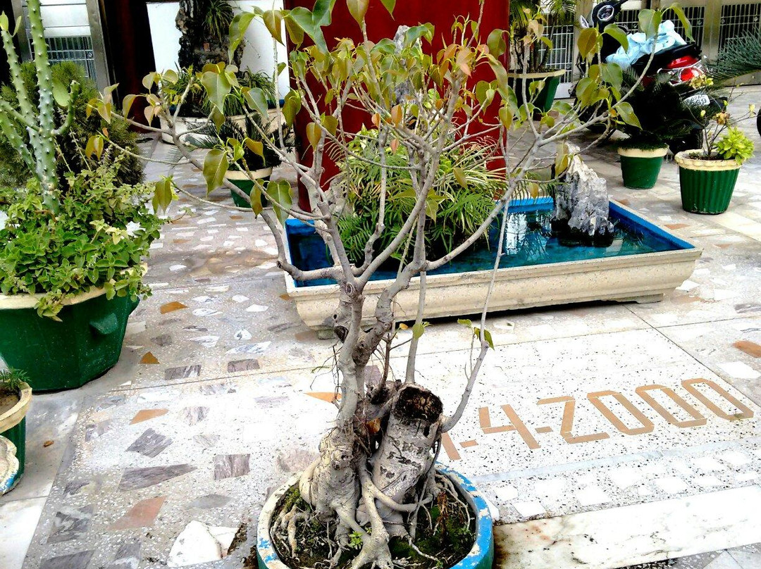 Vietnamese Temple-菩提伽耶必去景点