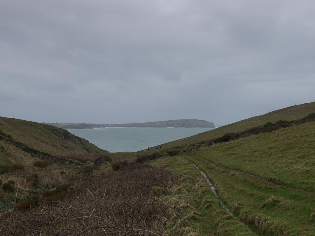 Padstow and Stepper Point Walk-帕兹托必去景点