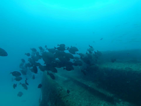 Island Dive-布赖比岛必去景点