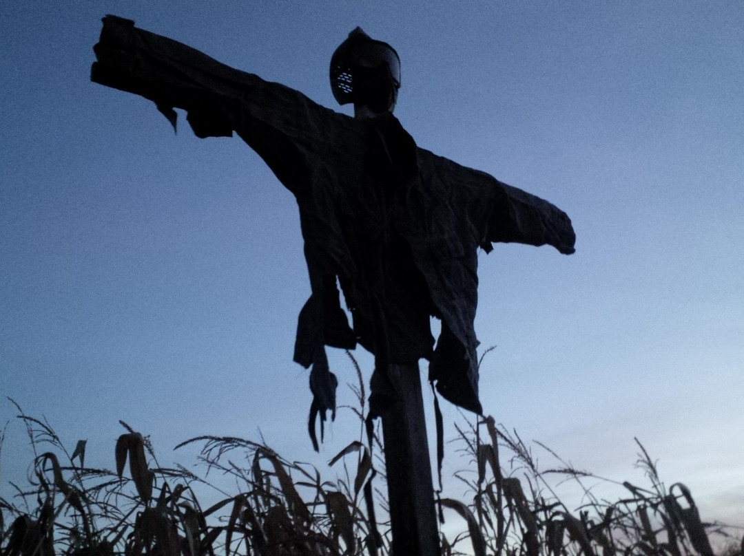 Paintball Paradise Prince Albert Inc.-Prince Albert必去景点