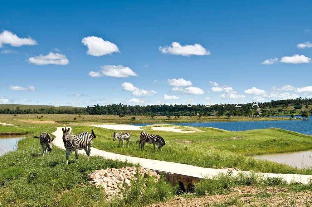 Bankenveld Golf Club景点图片