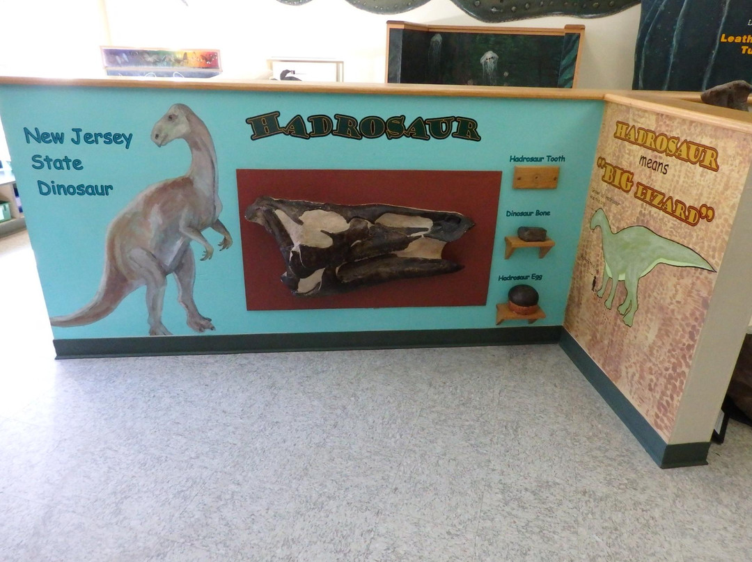 Trailside Nature & Science Center-Mountainside必去景点