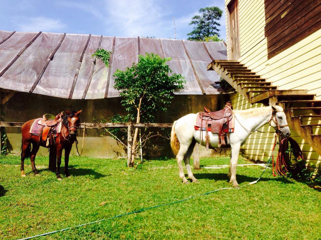 Panama Horseback Adventures景点图片