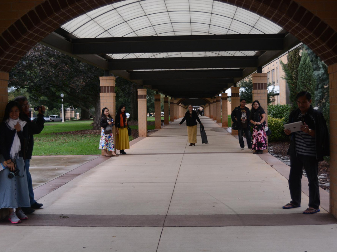 Bob Jones University Museum & Gallery-格林维尔必去景点