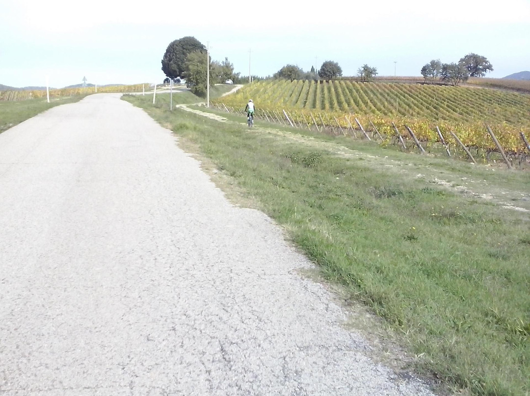 Siena Bike Rentals-锡耶纳必去景点