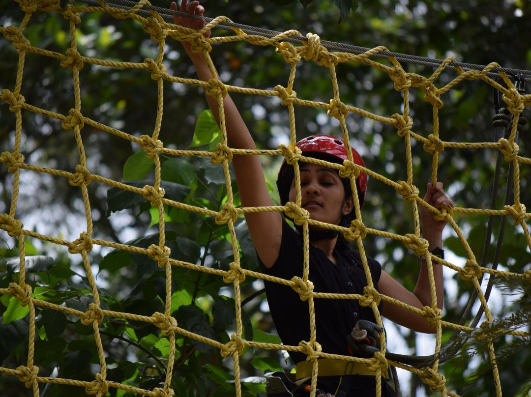 Grange TreeTop Adventure景点图片