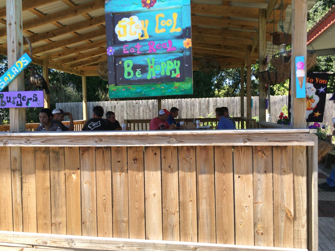 Caribbean Ice Company