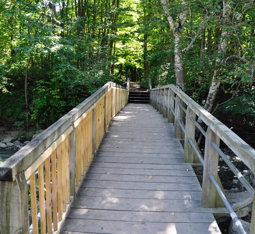 Petrifying Springs Park-基诺沙必去景点