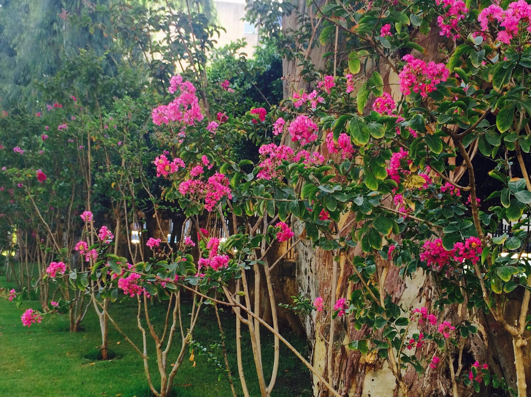 Sanayeh Garden-贝鲁特必去景点