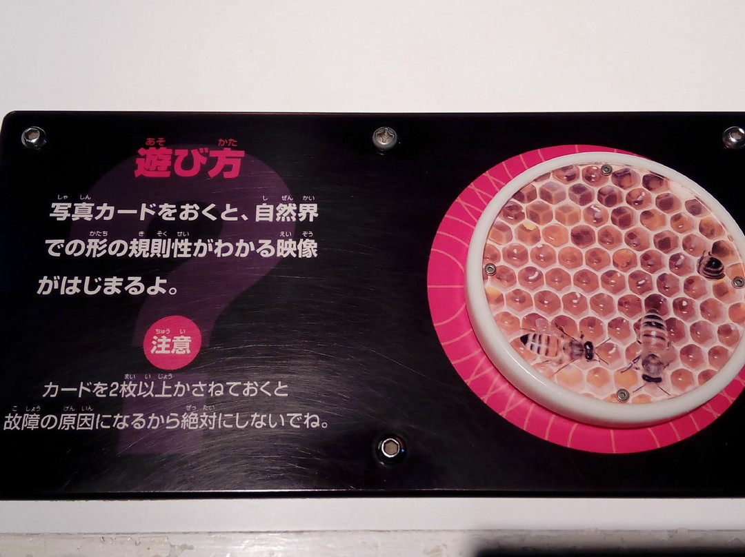 Chiba City Museum of Science-千叶市必去景点