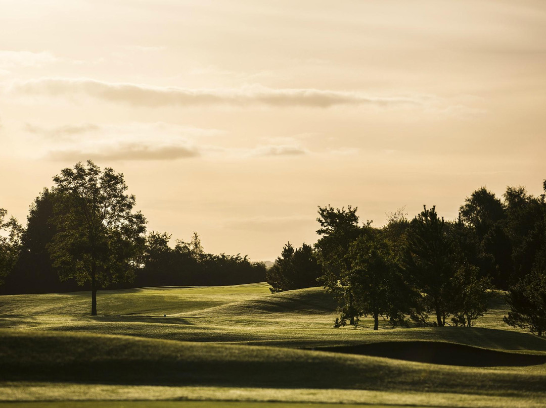 Foyle Golf Centre-德里必去景点