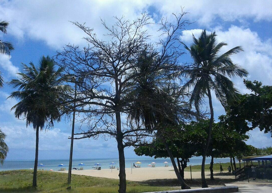 Cabo Branco Beach景点图片