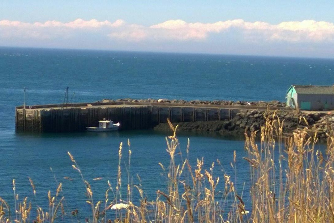 鲸鱼湾旅馆