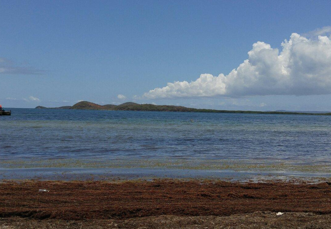 Reserva Natural Medio Mundo y Daguao-Ceiba必去景点