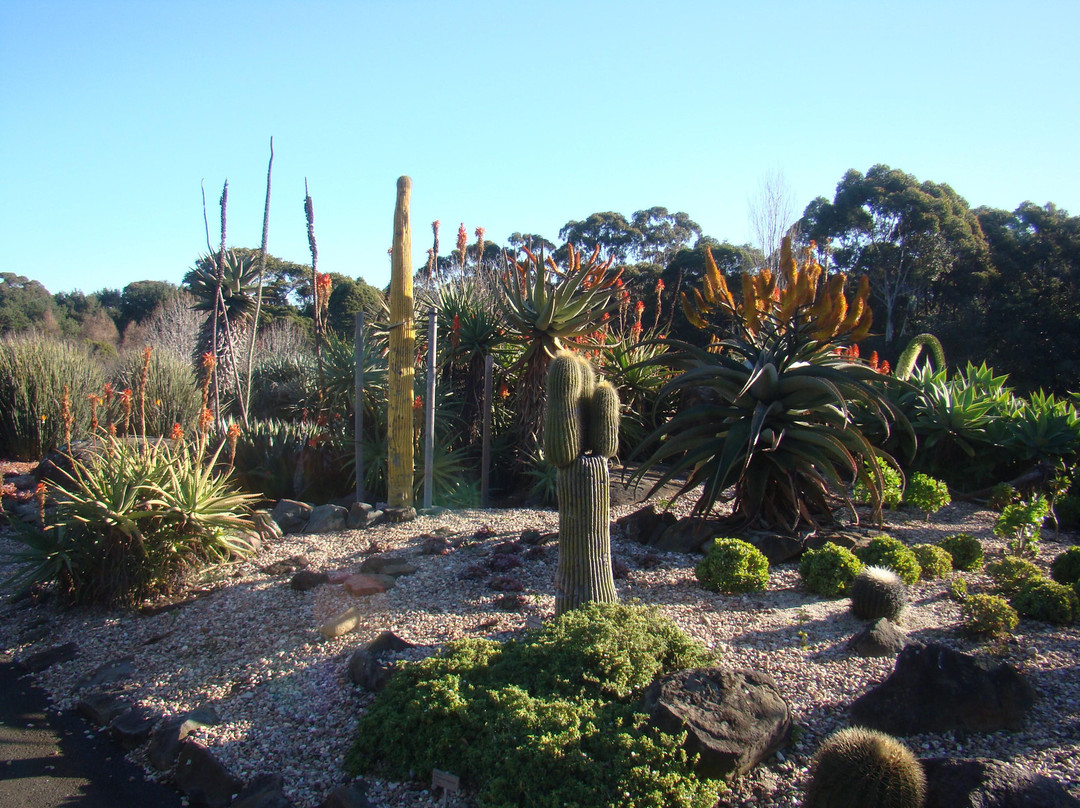 Wollongong Botanic Garden-卧龙岗市必去景点